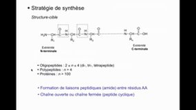 L1 SPS_UE11.S2-A12 Synthèse peptidique